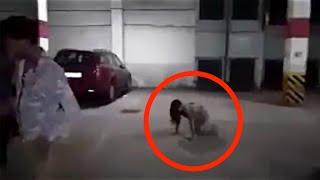 Top 15 Scariest Videos Ever Caught on Camera