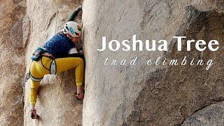 FACING MY FEARS  leading a scary sport climb in the high desert ‍️the Joshua Tree Chronicles Ep3