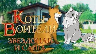 КОТЫ ВОИТЕЛИ | Звездоцап и Саша. 11 серия. Озвучка манги.