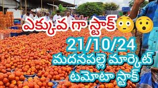 21-10-24 Madanapalle Tomato Market price Today || Today Tomato Market Rate in Madanapalle #today