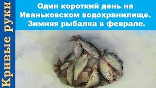 Один короткий день на Иваньковском водохранилище. Зимняя рыбалка в феврале на плотву.