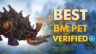 Best BM Hunter PVE Pet | World of Warcraft: Dragonflight Season 4