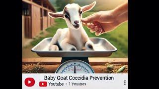 BABY goat coccidia prevention, how we do it | Don’t injure yourself  | Rowdy baby Buck!