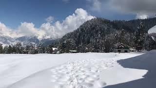 Shogran snowfall new update | Naran Kaghan valley today date 5/3/2025 #shogran #naran #kaghanvalley