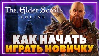 The Elder Scrolls Online - Как начать играть новичку