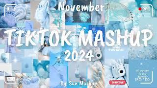 Tiktok Mashup November 2024 (Not Clean)