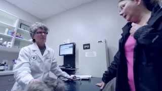 Welcome to Olney-Sandy Spring Veterinary Hospital