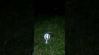 #4fun #gaming #fcuk #uk #golf