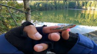 Browning lake , jigging for trout , unexpected casualty!!