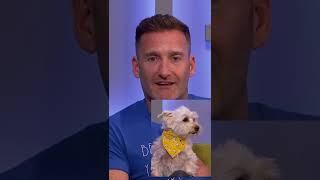 Dog's First Taste of Fame on Live TV  | The Six O'Clock Show