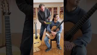 Spruce vs Cedar Guitar Comparison - Sound Samples
