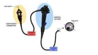 Endoscope Technology Theory-Lesson 3-Endoscope Parts