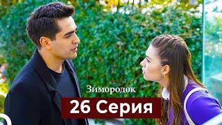 Зимородок 26 Cерия (Русский дубляж)