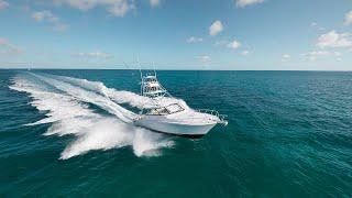 The All-New CABO 41