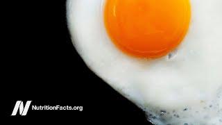 Does Dietary Cholesterol from Eggs Raise Blood Cholesterol?