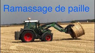  . Ramassage de Paille |% FENDT   |FENDT 310 & FENDT 413 !!  |2019|