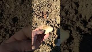 Field walking Freaks #1  (part 1)
