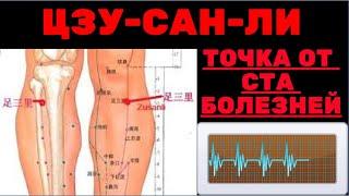 ЦЗУ-САН-ЛИ ТОЧКА ОТ СТА БОЛЕЗНЕЙ. ПОЛЕЗНЫЕ СОВЕТЫ КАК МАССИРОВАТЬ И КАК НАЙТИ.