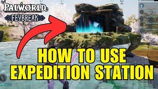 HOW TO USE Pal Expedition Station and MANY of them