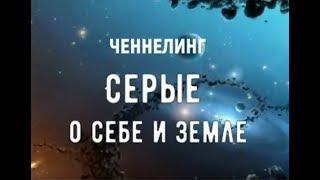 Серые о себе и Земле. Ченнелинг