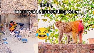 monkey Rani countryside video ,Indian villagers , India countryside interesting emission video,