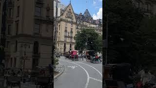 Year-round Bliss: Central Park #nyc #centralpark #usatravel