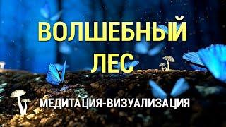 Медитация-Визуализация Волшебный Лес  Самогипноз  Осознанный Сон