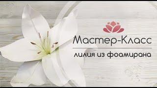 Мастер -Класс Лилия из фоамирана