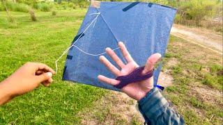 Caught Kites looting Kite forest kite catching