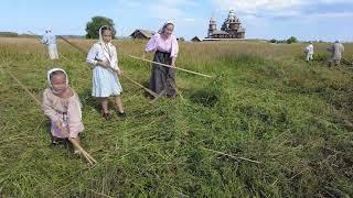 Отбивание косы и сенокос на острове Кижи