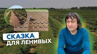 СКАЗКА ДЛЯ ЛЕНИВЫХ