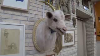 Необычный музей в Твери. Музей козла. Russia. Tver. The Museum of the goat