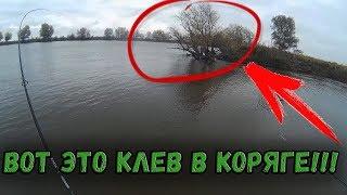 ВОТ ЭТО КЛЕВ В КОРЯГЕ! УЛЬТРАЛАЙТ ЕЛЕ СПРАВЛЯЕТСЯ С НИМИ! РЫБАЛКА С ЛОДКИ НА СПИННИНГ 2017! ЖЕРЕХ