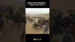 Shahrisabz Xisarakdan BAXTIYOR polvon mustang oti II #Shorts  #horse #alochi #kopkari