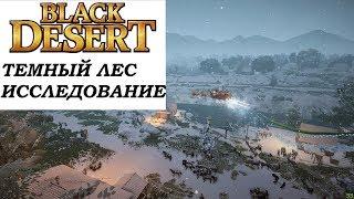 [Исследование] Темный лес. Black Desert.