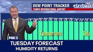 Tampa weather | Humidity returns