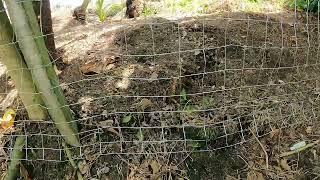 Installing new Hog Wire to the creek fence with Bob