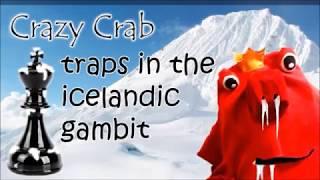 Chess Traps & Tactics in the Scandinavian Icelandic Gambit