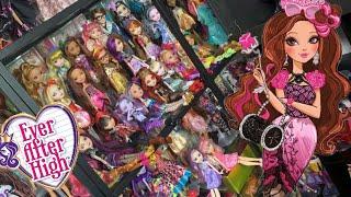 All of my Ever After High dolls - 2023 Collection Update  - 10 Year anniversary!!