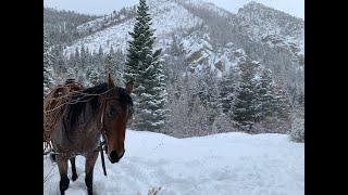 The Mountain Ride at Rising K Ranch in December.