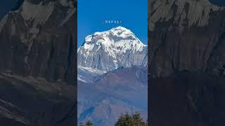 "Majestic Mt. Dhaulagiri: A Himalayan Giant that Commands Awe.  #Dhaulagiri #himalayas #travel