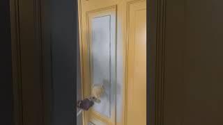 MRF Wood coat Ultra #PUPaint#woodworking #finishing #mrfpaint#surfacepreparation