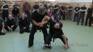 Budo Taijutsu of Master Nagato at Hombu Dojo