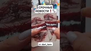 СРОЧНЫЕ НОВОСТИ️ #shorts #таросегодня #гаданиетаро #тарорасклад #тароонлайн