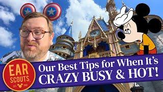 18 Tips for When It's Crazy Busy & HOT at Walt Disney World