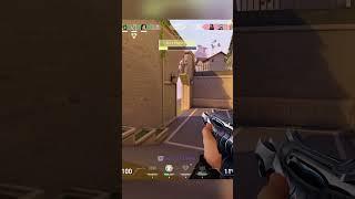 Amazing Radiant Sage Plays 