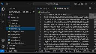 How to Configure SSL Certificate on Localhost React Project Using OpenSSL and Make it HTTPS Secure