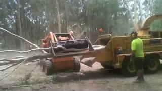 Angry Ant Tree Services - Chipper action