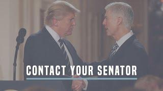 Senator McCaskill, Commit To An Up-Or-Down Vote In The Full Senate On Judge Gorsuch