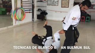 Artes Marciales Tatgun - Programa de Blanco  - Tecnicas